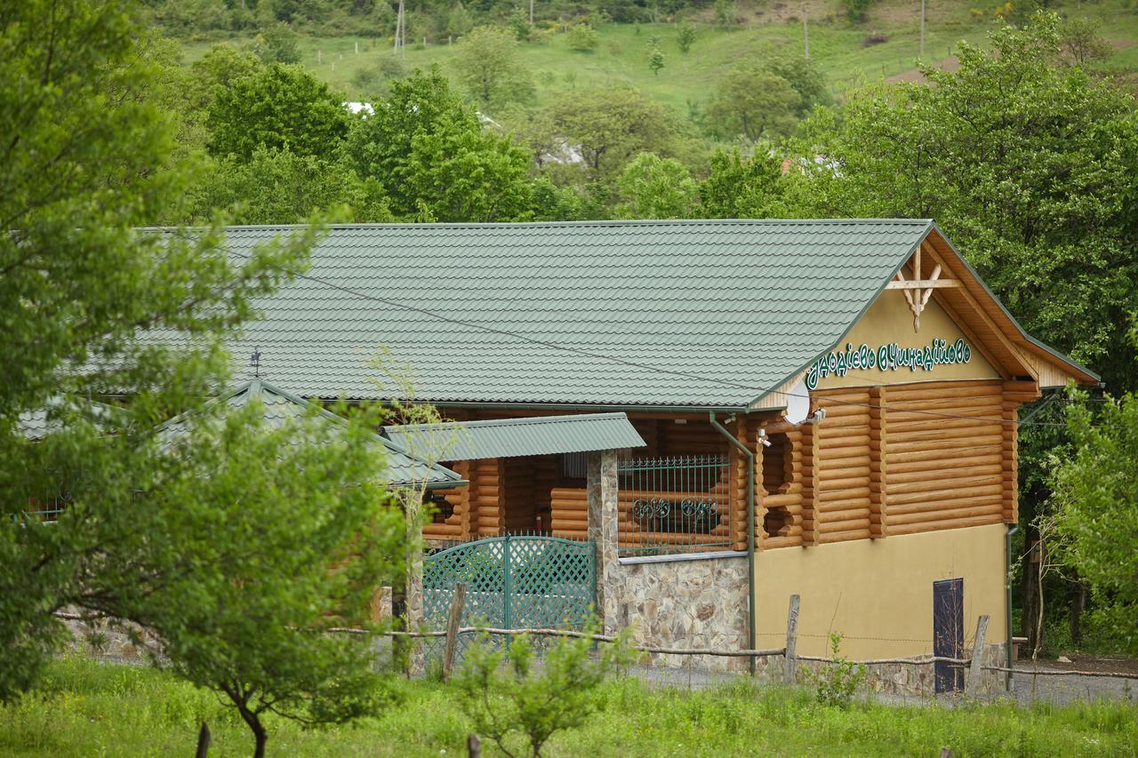Chudodievo In Chynadievo Mini-Hotel Chynadiyovo Exteriér fotografie